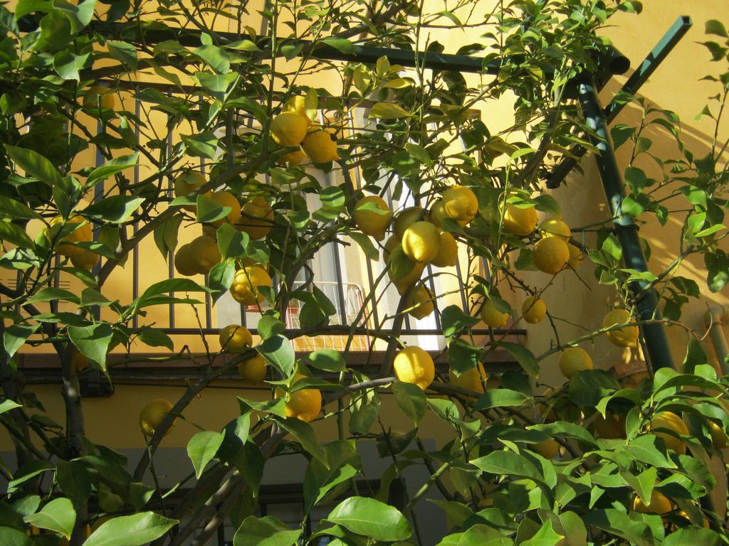Holiday Home Il Borgo Degli Agrumi Uzzano Eksteriør billede