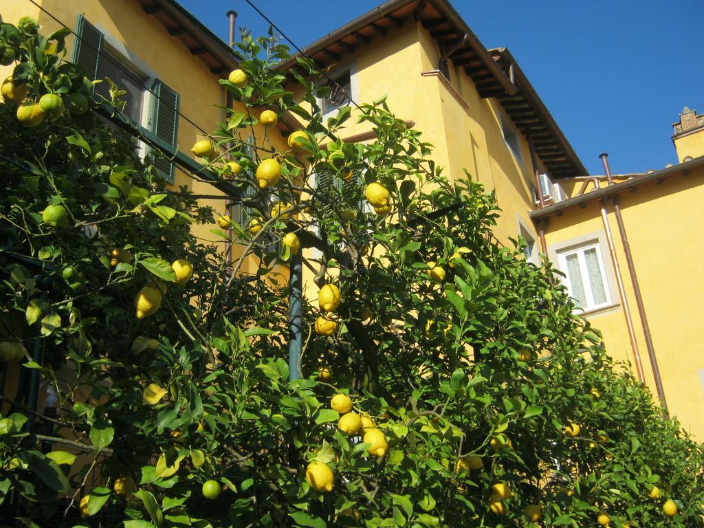 Holiday Home Il Borgo Degli Agrumi Uzzano Eksteriør billede